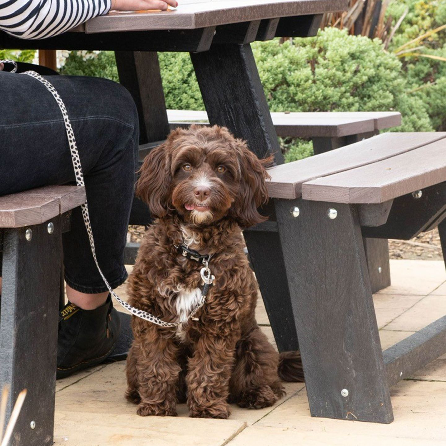 Your local dog friendly pub in Bridgnorth